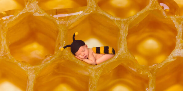 Why Babies Can't Have Honey