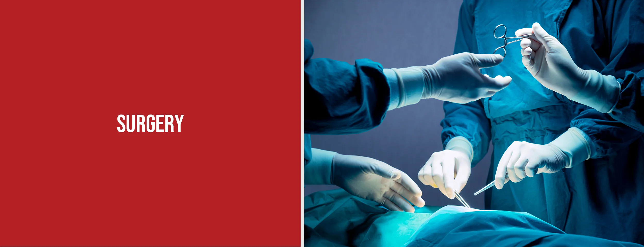 Surgical Treatment for Hemorrhoids in Ulcerative Colitis