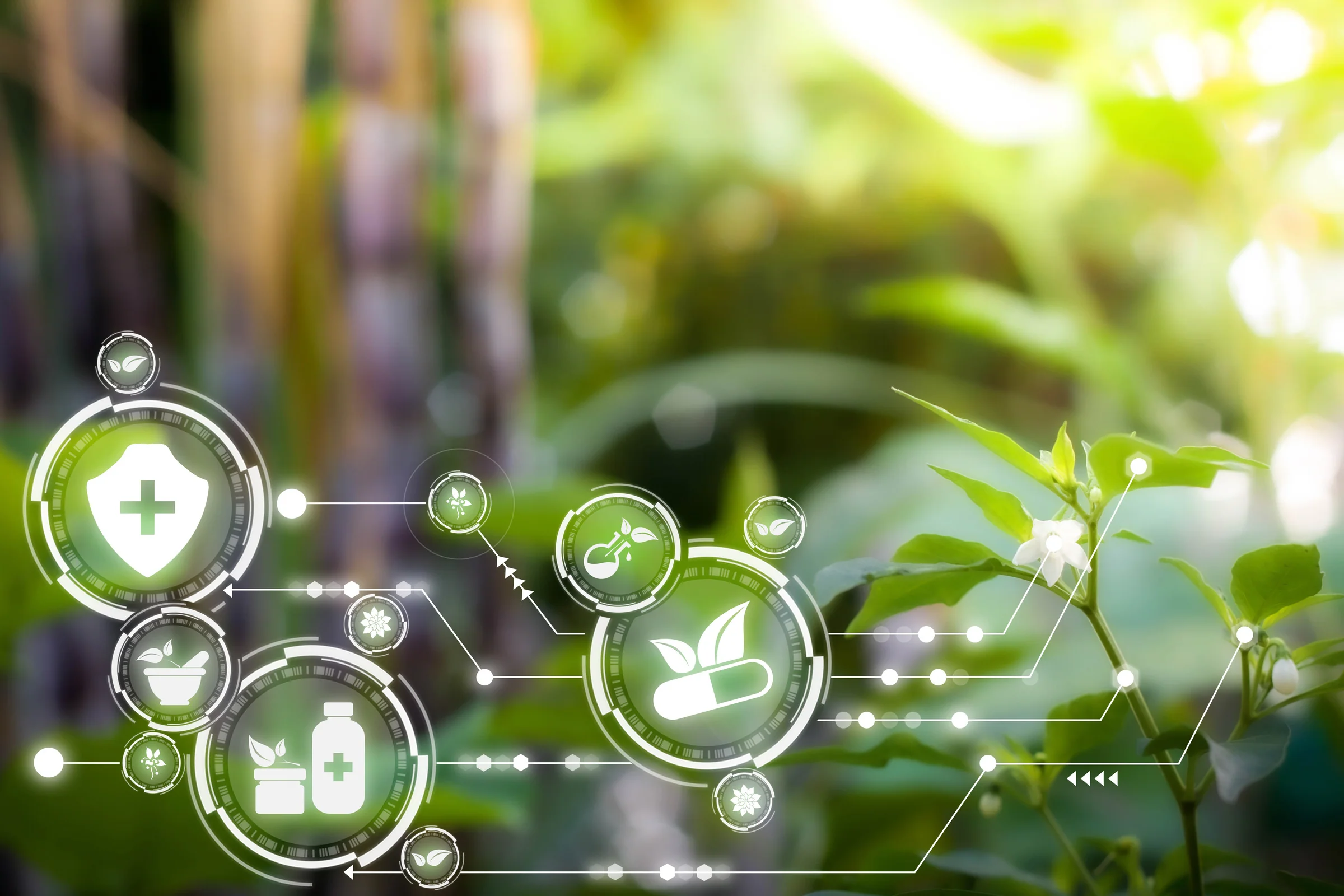 Benefits of natural remedies for thrombosed hemorrhoids