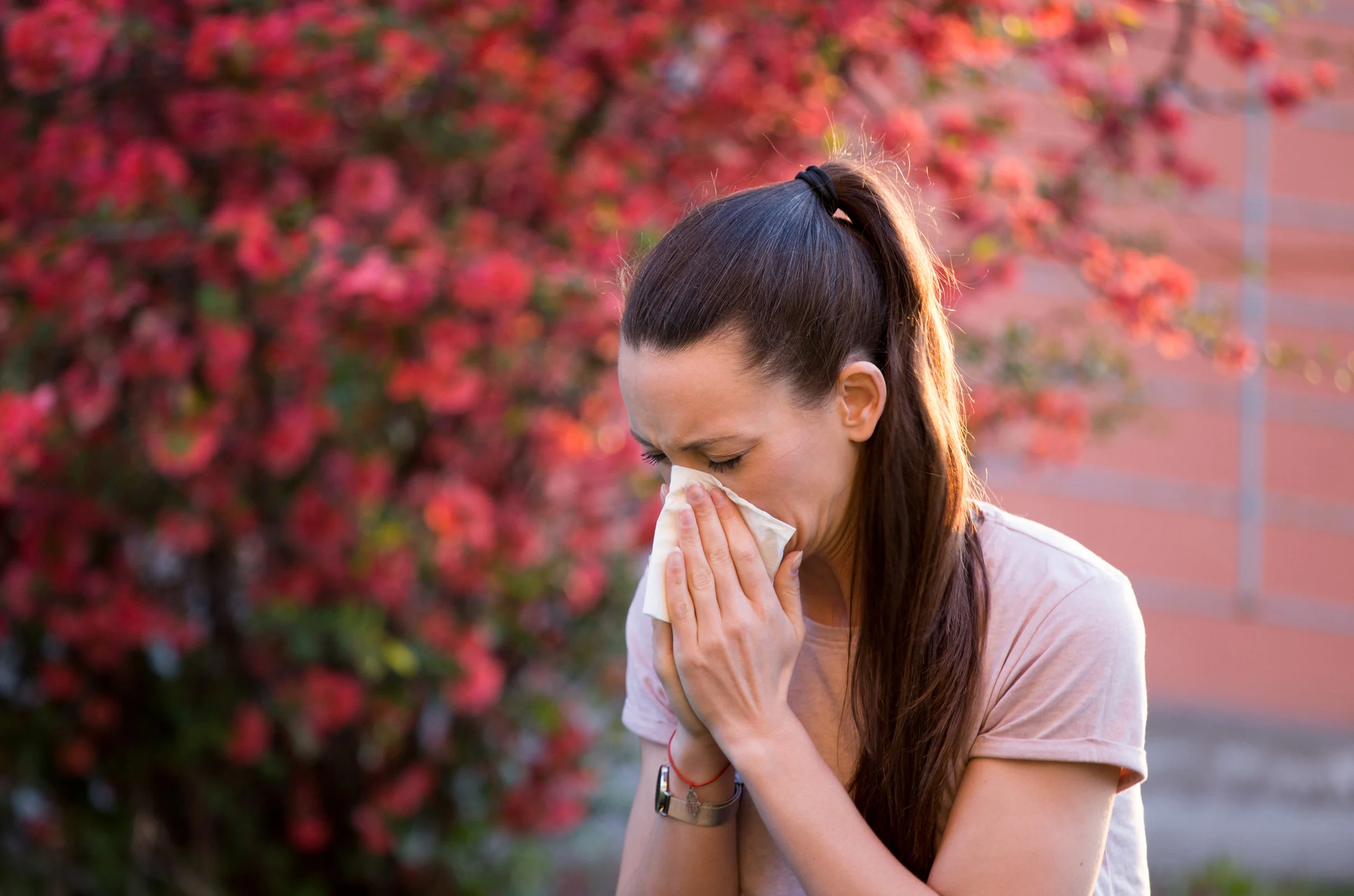 Treatment for hemorrhoids with antihistamines