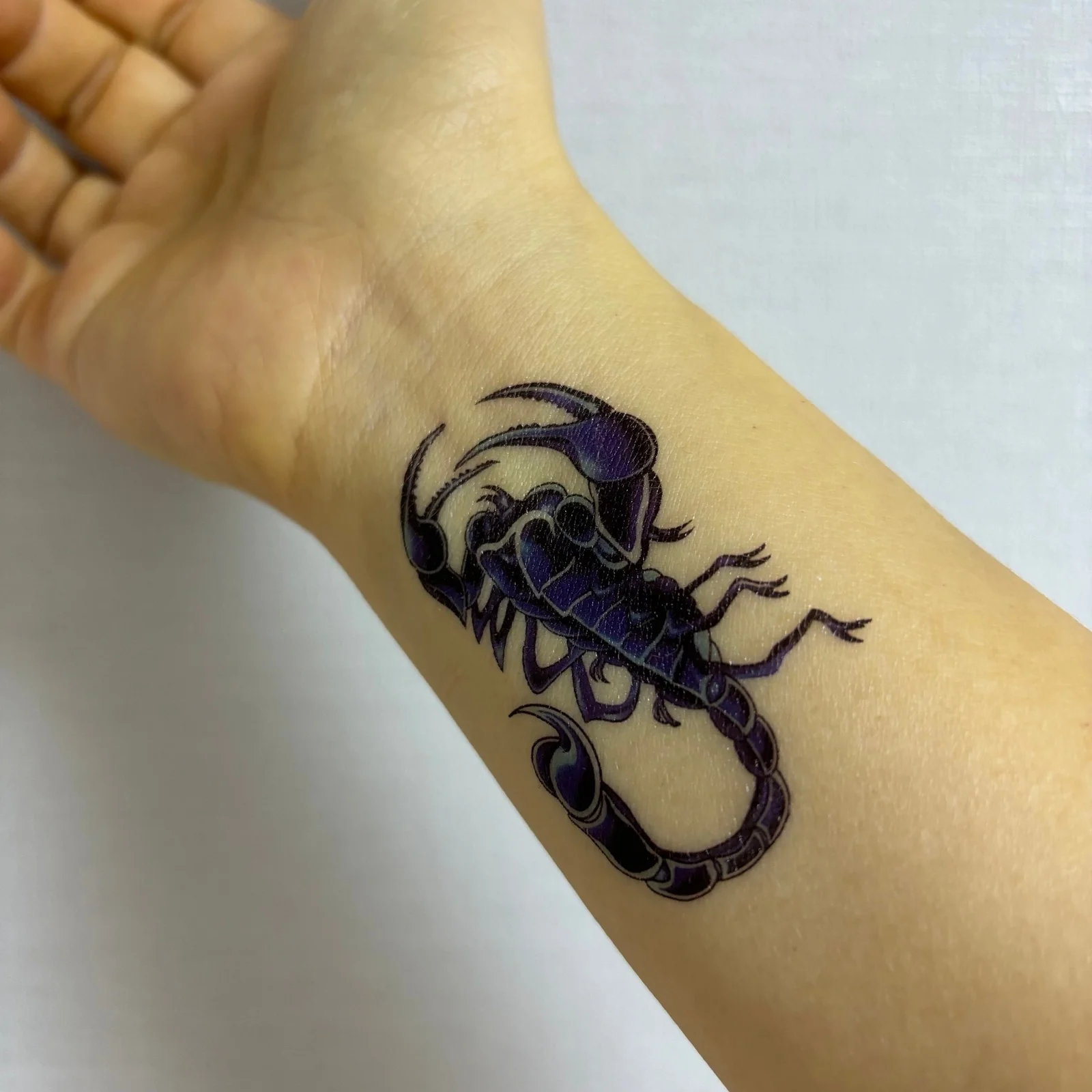 Scorpio Zodiac Tattoo Ideas