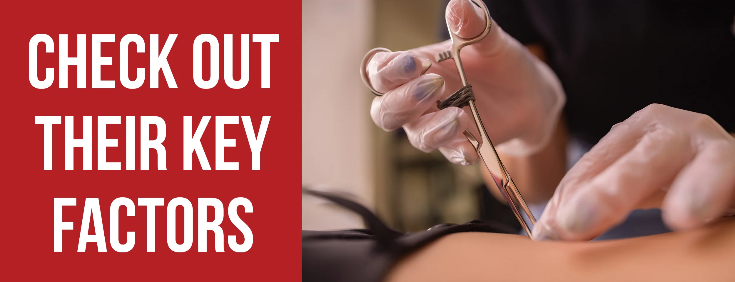 See what they have to offer