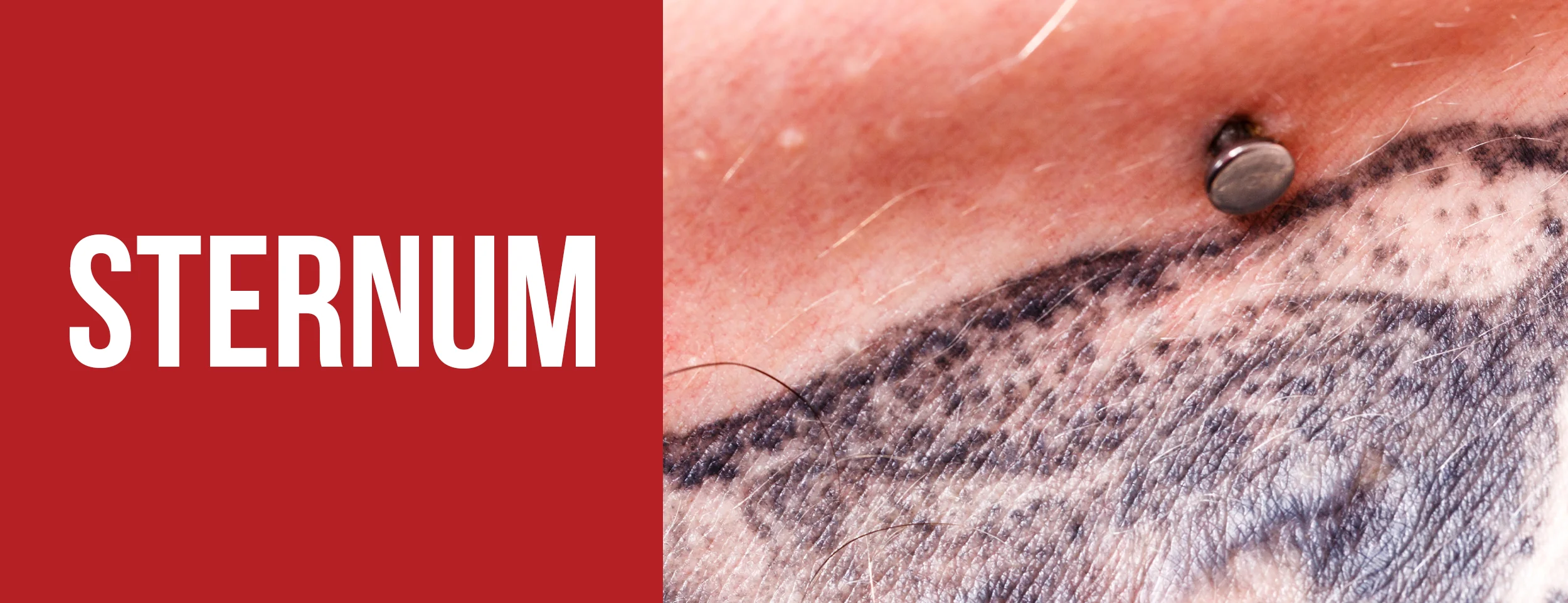 Sternum Tattoos Most Painful