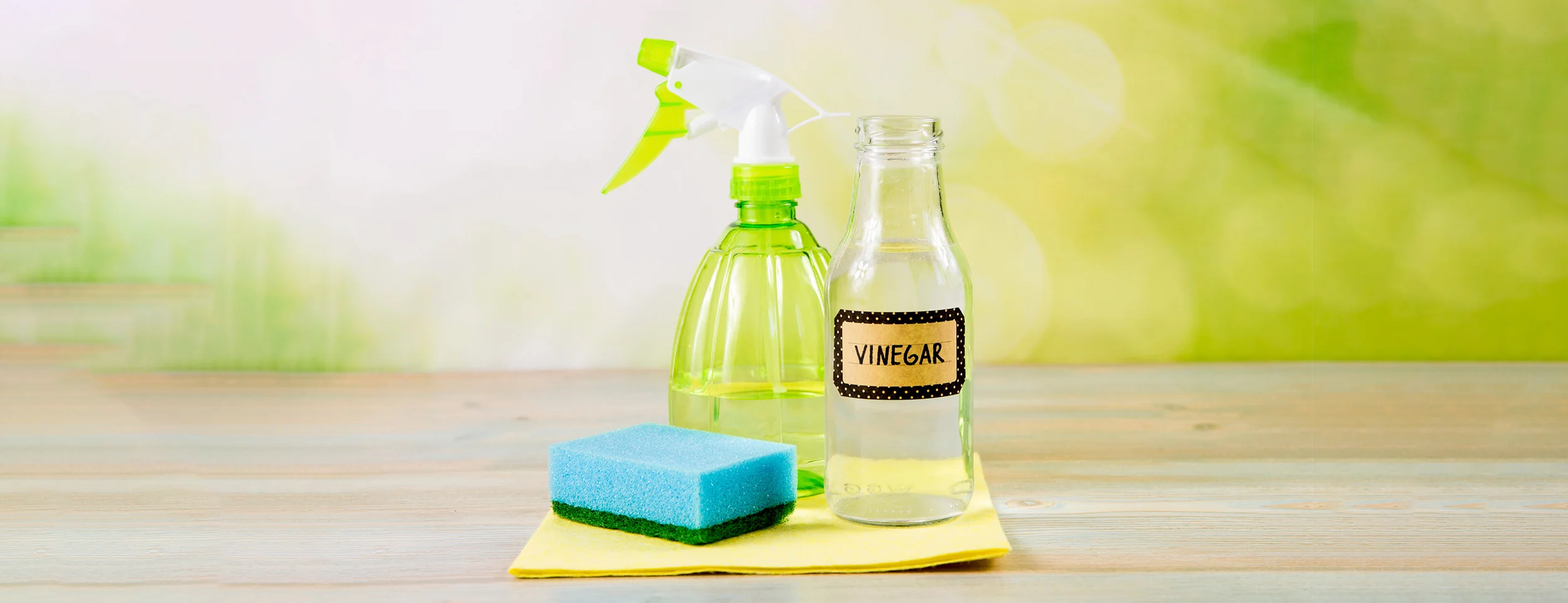 11 Best Natural Disinfectants