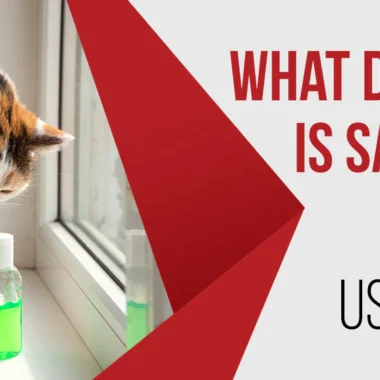 What to Use to Disinfect a Wound? Types of Applications