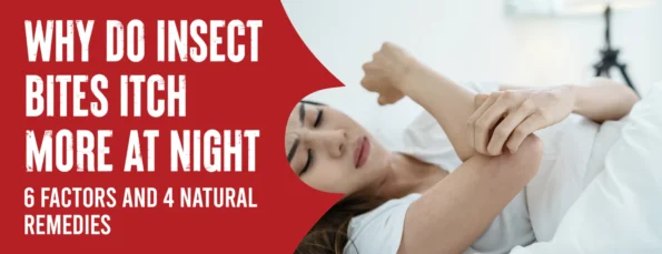 6 Reasons Why Itches From Insect Bites Increase at Night