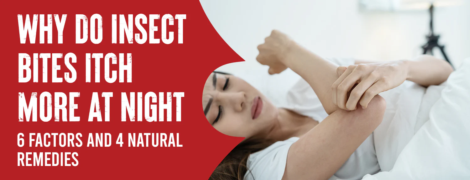 6 Reasons Why Itches From Insect Bites Increase at Night