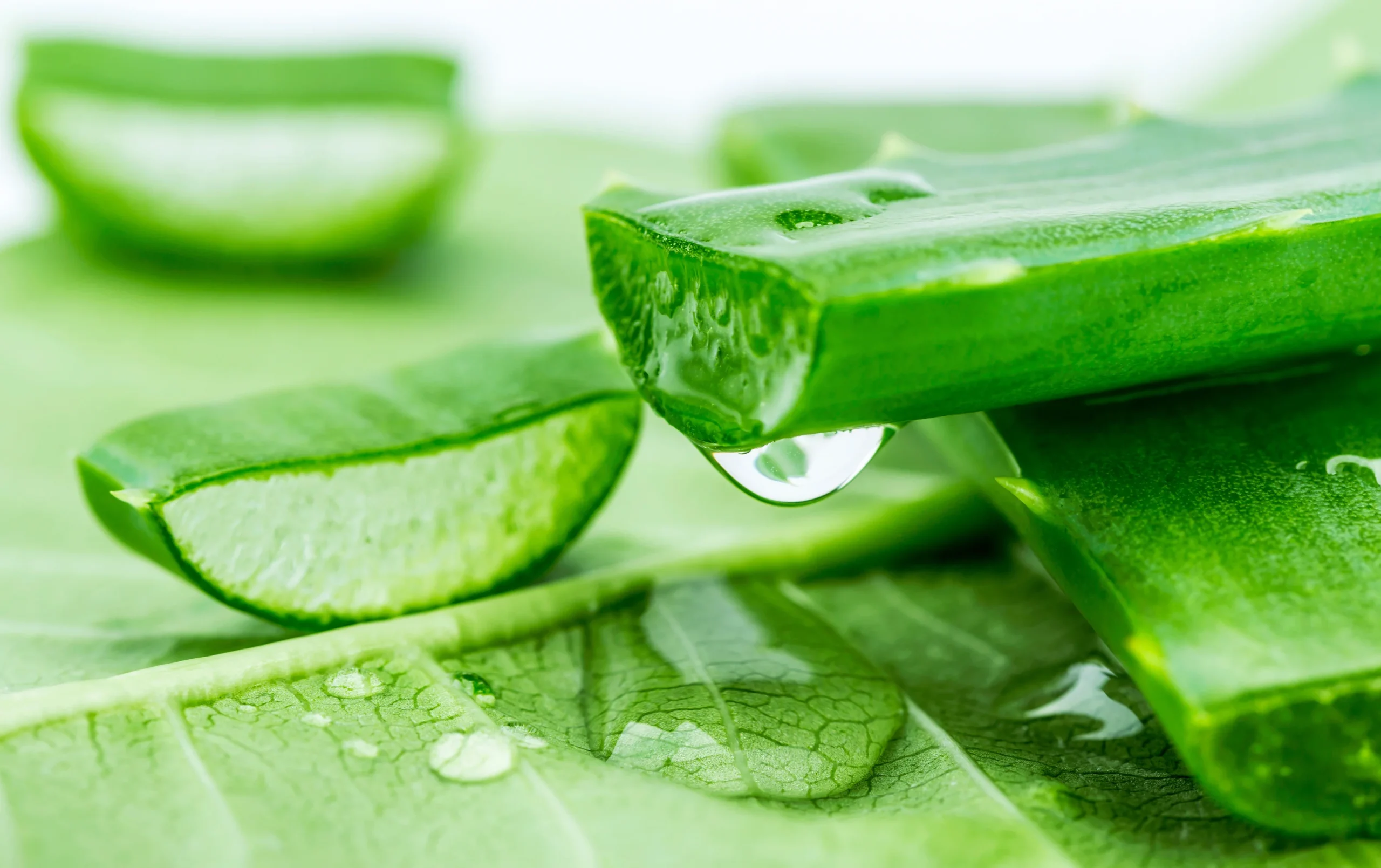 Alternatives to sunburn cream with aloe vera