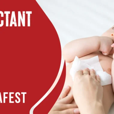 What Disinfectant is Safe for Cats: 3 Types & Using Methods