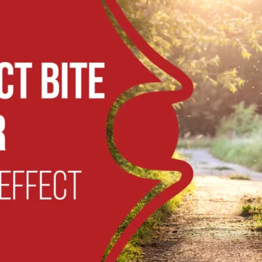 Most Painful Insect Bites: 10 Types [How to Avoid Them]