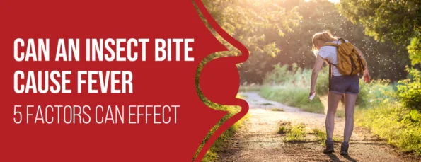 Five Factors And Six Effective Treatments For Fever Caused By Insect Bites