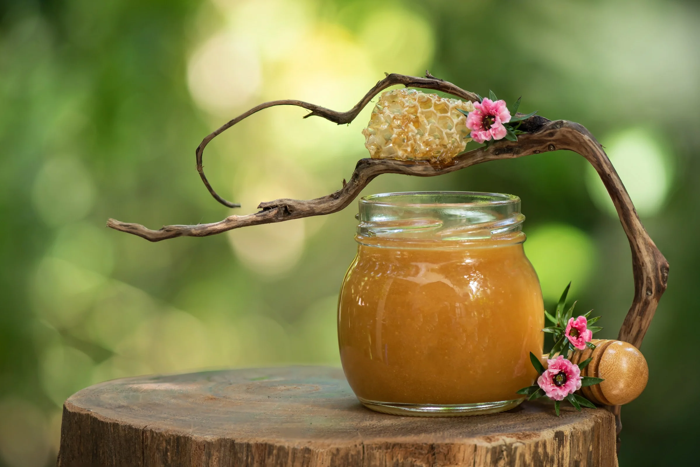Spirulina and Manuka Honey Exfoliating Recipes for Dry Skin