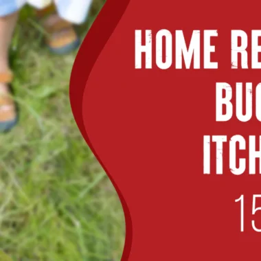 Most Painful Insect Bites: 10 Types [How to Avoid Them]