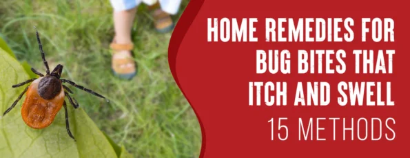 The 15 best home remedies for bug bites that itch and swell