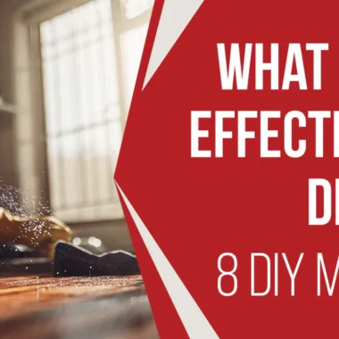 What Disinfectant is Safe for Cats: 3 Types & Using Methods