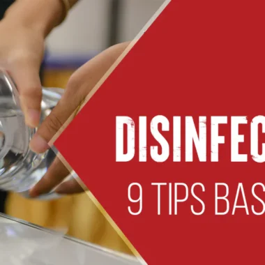 What Disinfectant is Safe for Cats: 3 Types & Using Methods