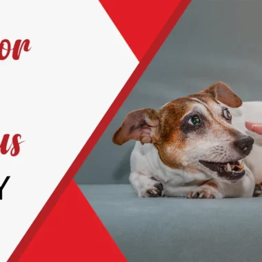 What Not to Do Before Lip Injections: 9 Tips [For Safety]