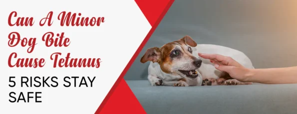 Getting Tetanus From a Dog Bite 5 Risk Factors