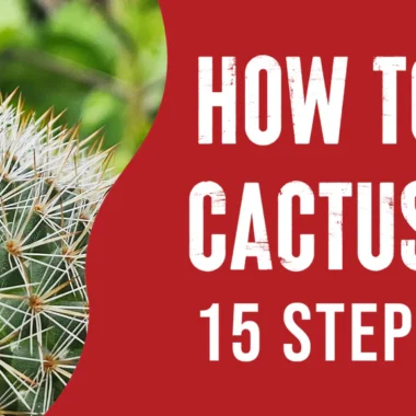 Diabetic Wound not Healing: 6 Factors  [Impact Explained]