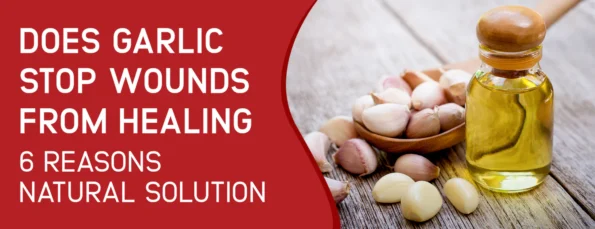 Medical Use & Mechanism of Garlic's Anti-Healing Properties