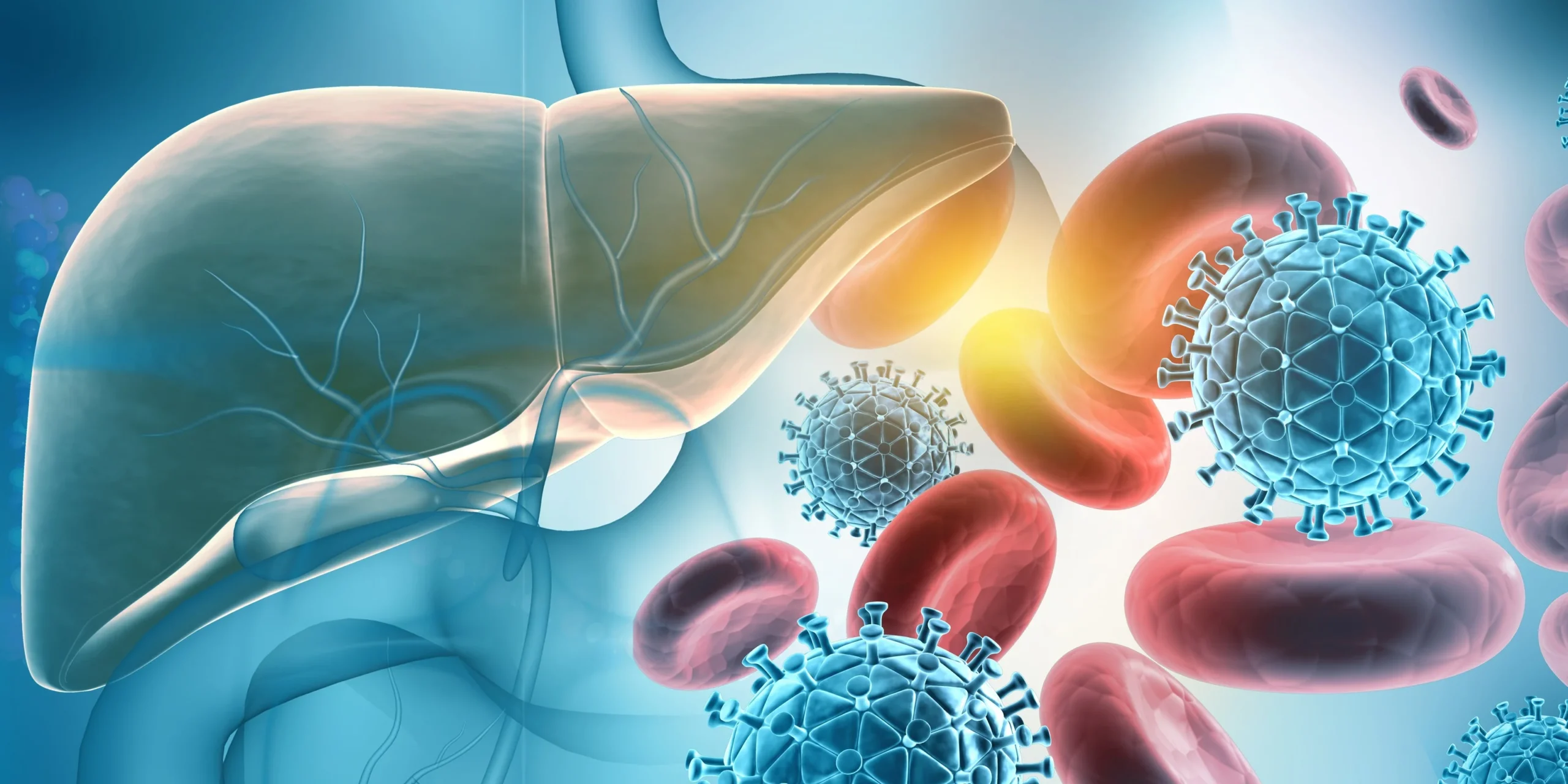 Review of Natural Immunity to Hepatitis B