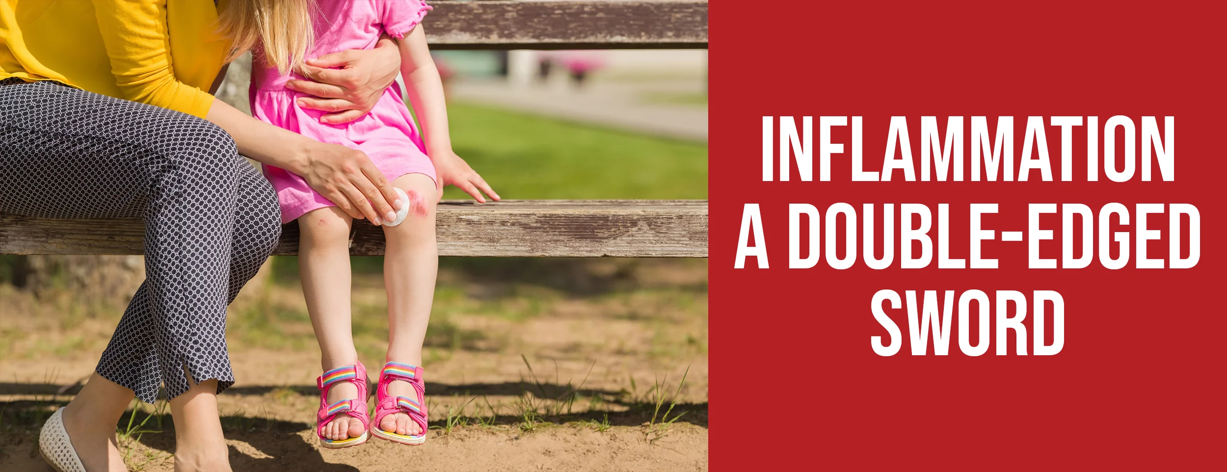 The Double-Edged Sword of Inflammation