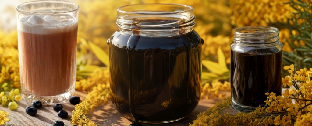 dark black honey in glass jar